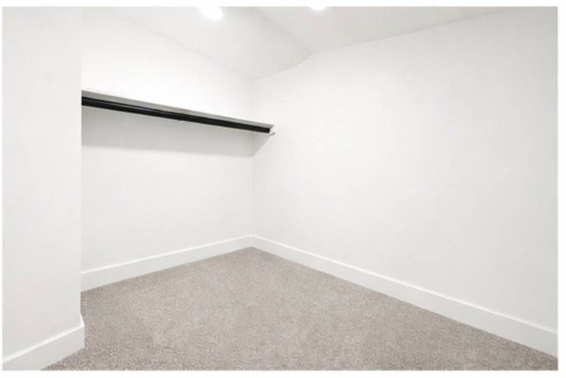 Walk in closet with carpet floors and vaulted ceiling