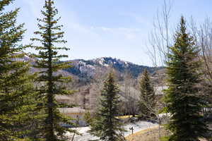 View of mountain background
