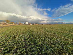 View of green lawn featuring a rural view and agricultural plots