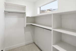 Walk in closet featuring light carpet