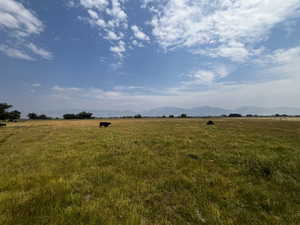 View of nature with rural landscape and a pastoral area
