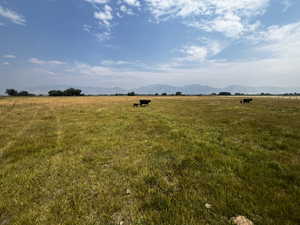 View of yard featuring a view of countryside and a mountain view