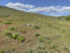 View of yard with a view of rural / pastoral area