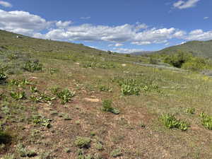 View of mountain background with rural landscape