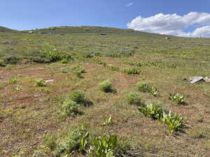 View of nature with rural landscape