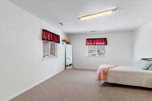 Bedroom with carpet flooring and a textured ceiling
