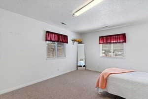 Carpeted bedroom featuring multiple windows and a textured ceiling