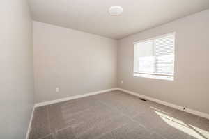 Unfurnished room with light carpet