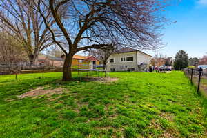 Fenced backyard with a trampoline