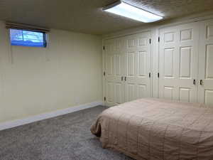 Carpeted bedroom with two closets and a textured ceiling