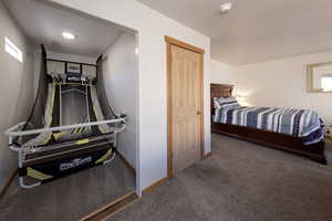 Bedroom featuring carpet
