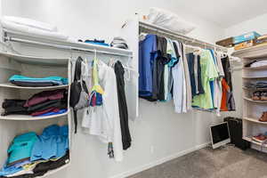 Walk in closet with carpet flooring