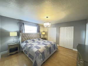 Primary Bedroom (1) featuring multiple closets, light laminate wood finished floors and a chandelier