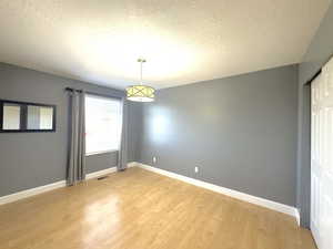 Bedroom (3) Laminate light wood-style floor  with chandelier light and double door closet