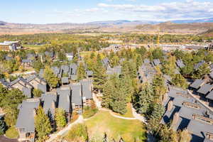 Aerial perspective of suburban area with mountains