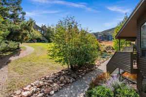 View of grassy yard