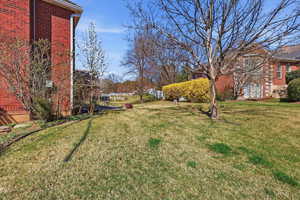 View of grassy yard