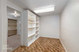Walk in closet with light colored carpet
