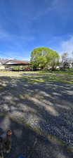 View of yard featuring gravel driveway