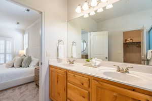Bathroom with a spacious closet, double vanity, ensuite bathroom, light carpet, and crown molding