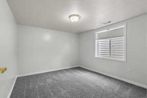 Spare room with carpet flooring and a textured ceiling
