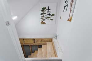 View of stairway to basement