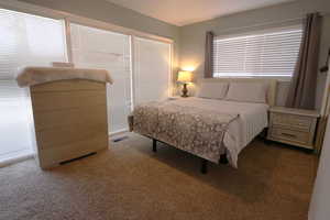 Bedroom featuring carpet, multiple windows, and a closet