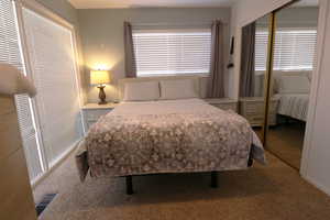 Bedroom featuring a closet, carpet floors, and multiple windows