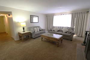 Living room with light colored carpet