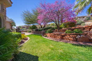 View of green lawn