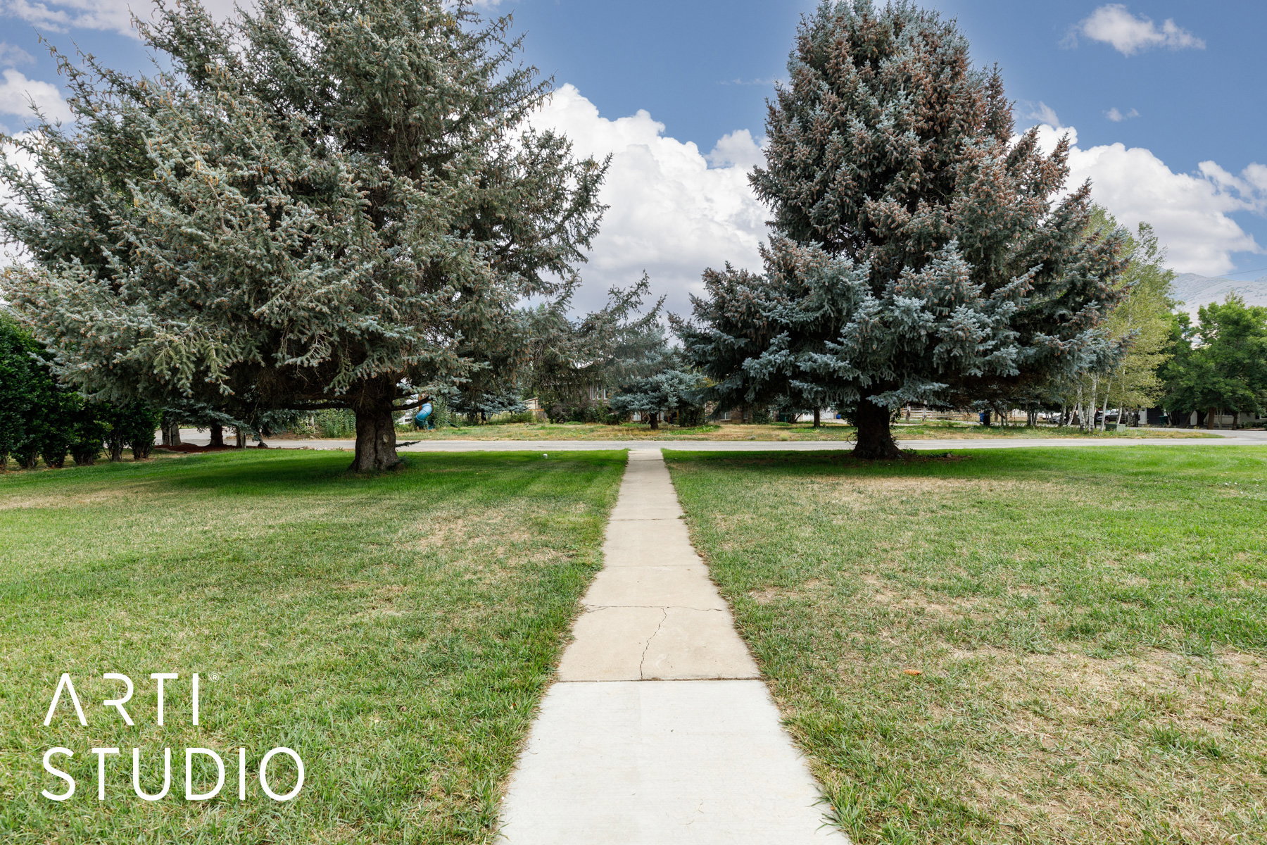 View of grassy yard.