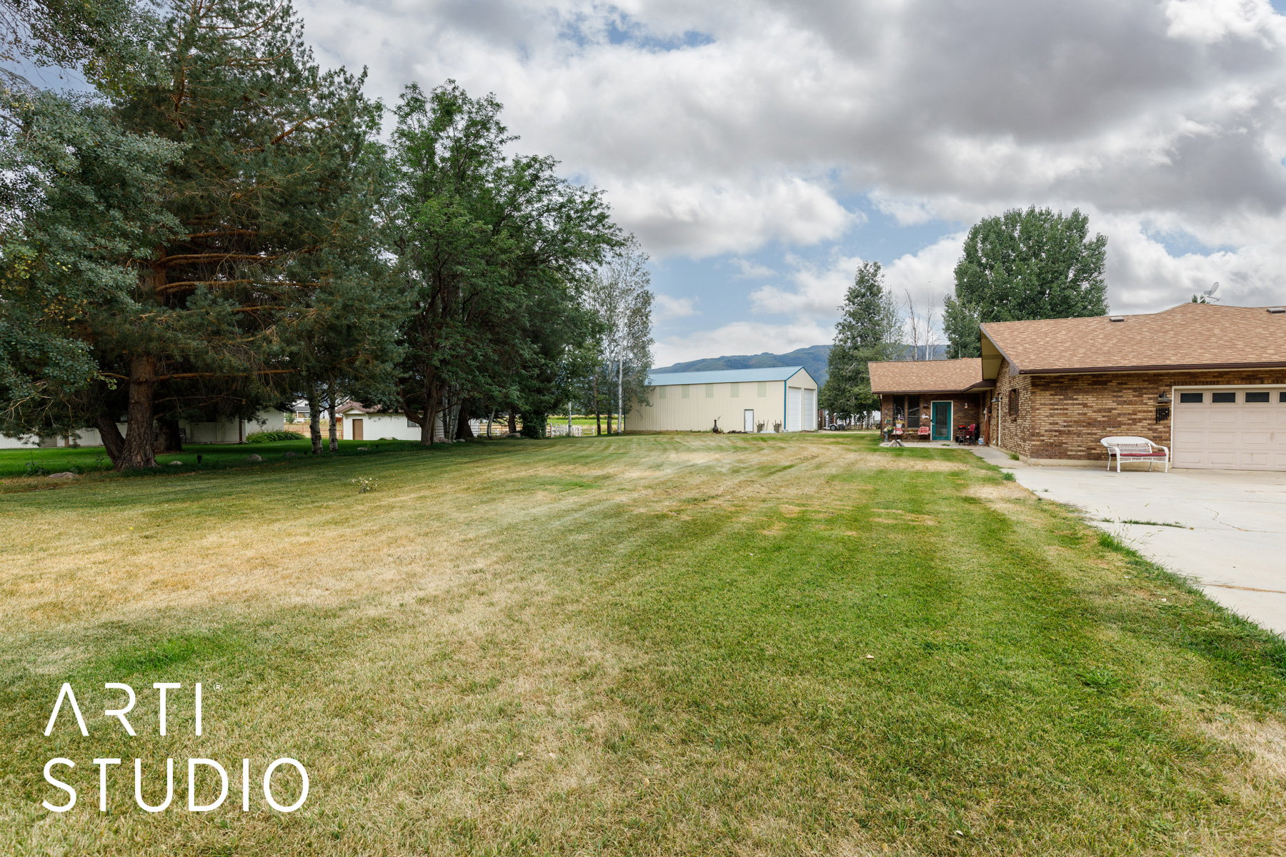 View of grassy yard