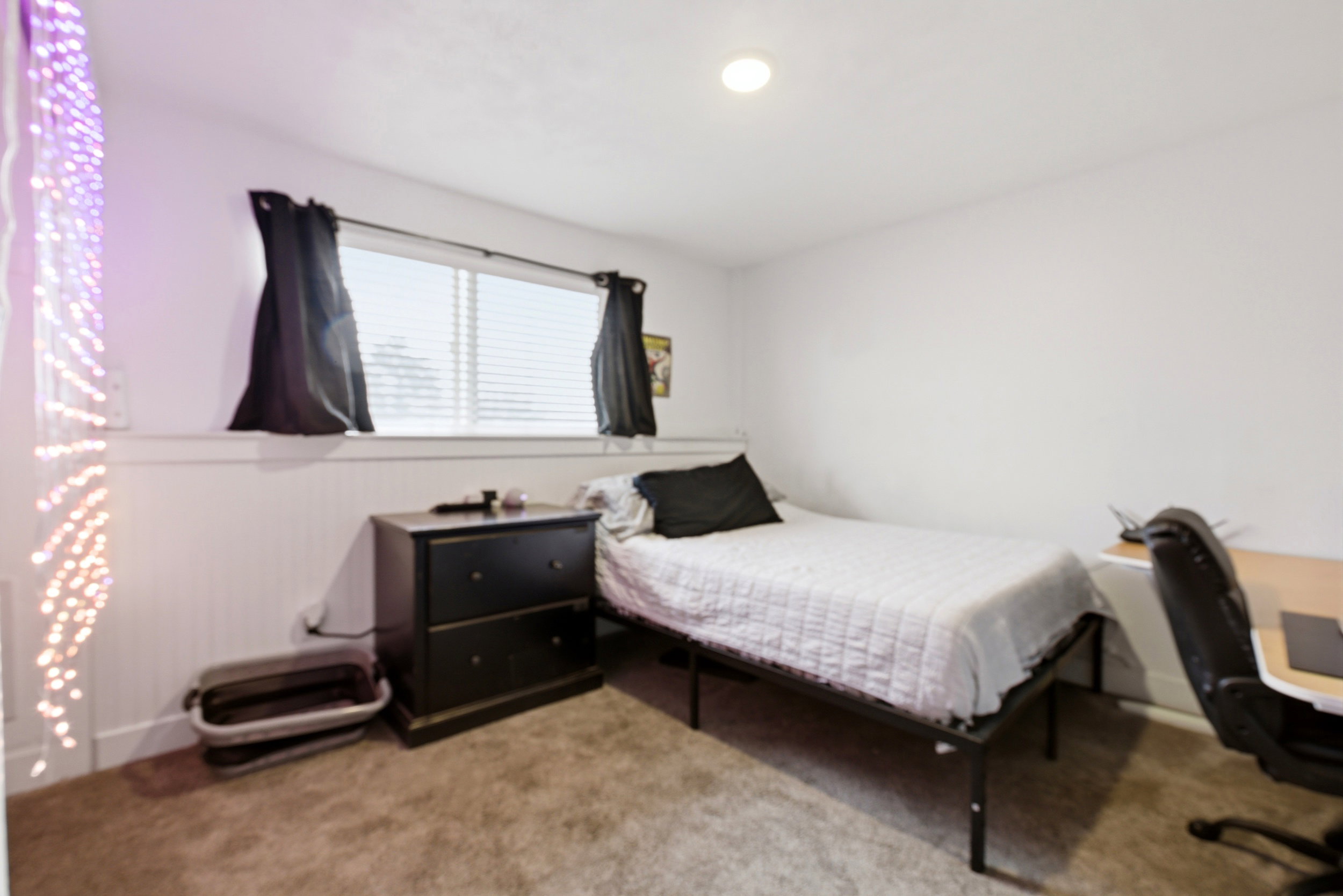 Lower level "flex" bedroom.