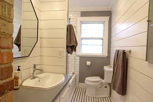 Bathroom featuring vanity, ornamental molding, and wood walls