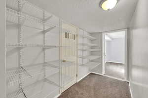 Walk in closet with dark colored carpet