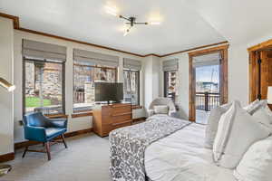 Bedroom with light carpet and access to exterior