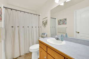 Bathroom with vanity and a shower with curtain