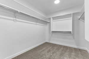 Spacious walk-in closet featuring built-in shelving, multiple hanging rods, recessed ceiling lighting, and soft carpet flooring