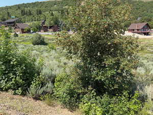Bird's eye view of a heavily wooded area