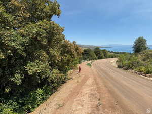 View of dirt / gravel road
