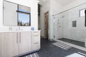 Primary bathroom featuring vanity and a shower stall
