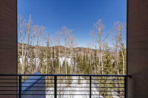 Level 2 mountain view