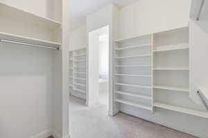 Walk in closet featuring light colored carpet