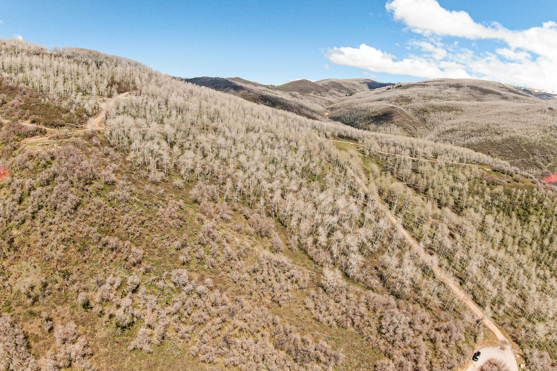 View of mountain background featuring a forest