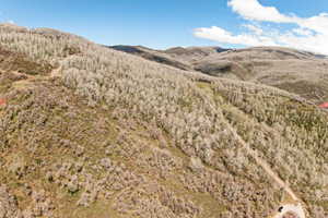View of mountain background featuring a forest