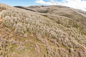 View of mountain backdrop