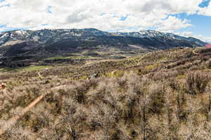 View of mountain backdrop