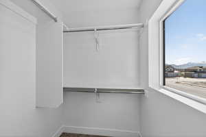 Walk in closet with carpet floors