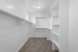 Walk in closet featuring dark carpet