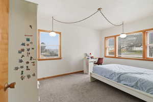 Bedroom with light colored carpet and multiple windows